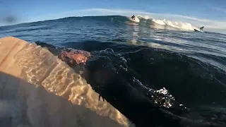 POV TWIN FIN SURFING