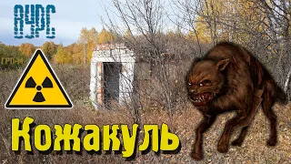 ☢ ВУРС. Урочище Кожакуль. / VURS. Kozhakul tract.