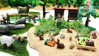 Let’s Building Farm Barn With Playmobil Country | Rabbits Barn And Cow Sheep Pig Goat Figure