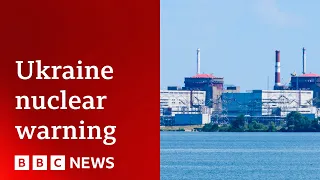 Ukraine power plant at risk of 'severe nuclear accident', says watchdog - BBC News
