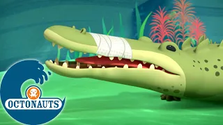 Octonauts - Les crocodiles marins et les lamantins | Dessins animés pour enfants