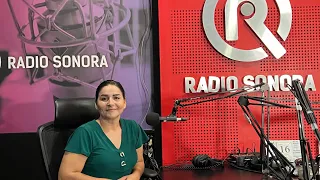 Platicando un Poco Sobre mí y Cómo Nació el Canal - Radio Sonora - La Herencia de las Viudas