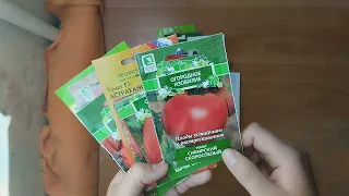 Обзор низкорослых томатов 🌱🌸