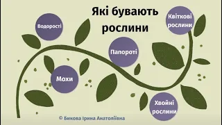 Які бувають рослини