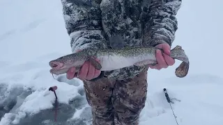 Flaming Gorge Burbot Fishing