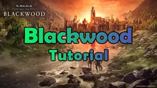 ESO - Blackwood, Tutorial Quest