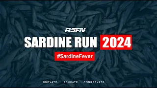 ARE YOU READY!!! | Sardine Run 2024 | Update | ASFN Sardine Run