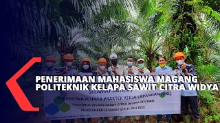 Penerimaan Mahasiswa Magang Politeknik Kelapa Sawit Citra Widya Edukasi Di PT BCA