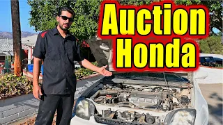 Did I Get a Good Deal on This Honda at the Auction?