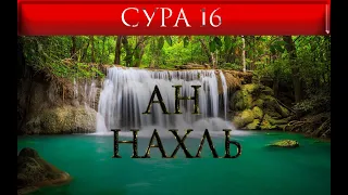 СУРА 16 "АН - НАХЛЬ"