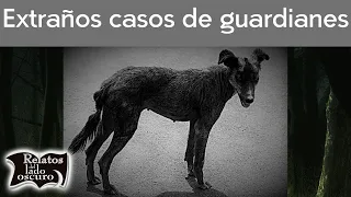 Extraños casos de guardianes | Relatos del lado oscuro