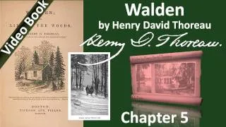 Chapter 05 - Walden by Henry David Thoreau - Solitude