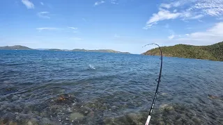 Land-based shallow reef fun in Airlie Beach!