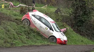 CRASHES &  MANY MISTAKES!! 25° Rally Colli del Monferrato 2022.