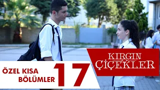 Kırgın Çiçekler Özel Kısa Bölümler | 17