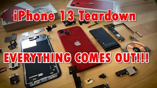 iPhone 13 Teardown - Everything comes out!