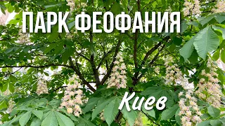 Киев. Парк Феофания. Сколько стоит вход?