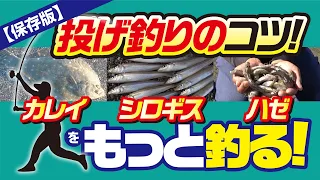 【保存版】投げ釣りのコツ！ カレイ、シロギス、ハゼをもっと釣る！