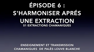 épisode 6 S'harmoniser après une extraction chamanique s1 Palès Louve Blanche  artherchamanique.