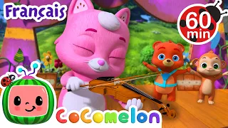 Hé petit chaton le chat | Chansons pour Bébés | CoComelon Le coin des Animaux de JJ - Comptines