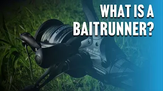 What is a Baitrunner Reel for Carp Fishing?