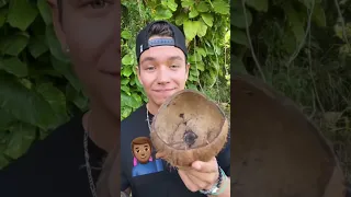 How To Make Coffee Using A Coconut 🥥☕️👌🏽 #Perfect