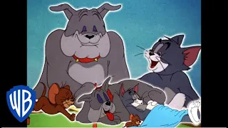 Tom y Jerry en Latino | El triángulo de la amistad | WB Kids