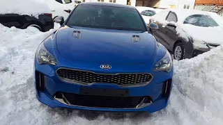 Kia Stinger GT line в Казани.