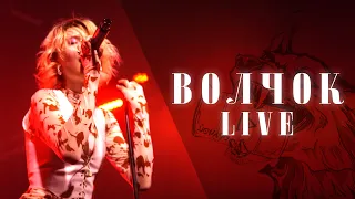 River Bridge - Волчок (LIVE)