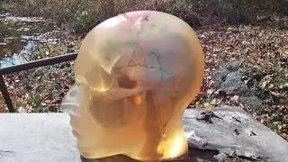 Mossberg 410 vs ballistic gel human head !!!