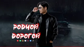 MADI - Родной,дорогой (audio)