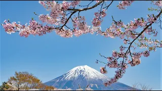 Sayonara (櫻花戀/サヨナラ) (1957) Theme Song