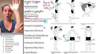 Articulations 6- Anatomical movements