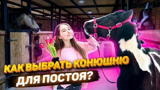 Как Выбрать КОНЮШНЮ для ПОСТОЯ? / Содержание Лошади / VLOG