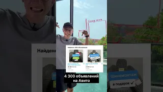 Авитолог заработал за 1 день!