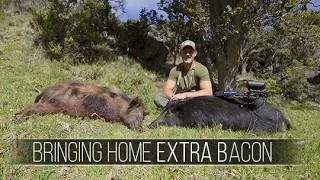 Bowhunting Wild Pigs - Double Kill