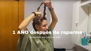 un AÑO después de raparme// crecimiento pelo rizo mes a mes sin cortes