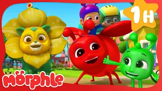 The Flower Power Magic Pet! | Mila and Morphle Cartoons | Morphle vs Orphle - Kids TV Videos