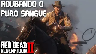 ROUBANDO CAVALOS NO RDR2