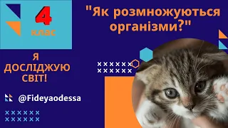 "Як розмножуються організми?"