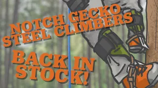 Notch Gecko Steel Climbers - LIVE