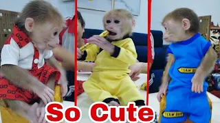 So Cute, It's great when mom buys new clothes for baby monkey Kiti