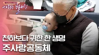 천하보다 귀한 한생명 [휴먼다큐 사랑은강물처럼 20회 | 베이비박스 주사랑 공동체 편]