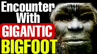 GIGANTIC BIGFOOT encounter by two hikers ! Bigfoot encounters location