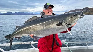 Angeln in Norwegen: Eidet Havfiske - Auf Heilbutt, Köhler und Dorsch in Senjas Super-Sund