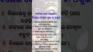 ବାଟରେ ଗଲା ସମୟରେ ବିଲେଇ 🐈 ଦେଖିବା ଶୁଭ ନା ଅଶୁଭ ଆସନ୍ତୁ ଜାଣିବା #short #viral #motivational odia