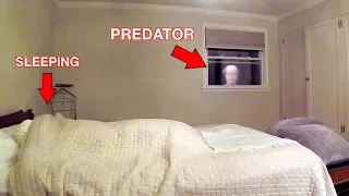 Catching a Predator | Predator Caught Watching Girl Sleep (Social Experiment)