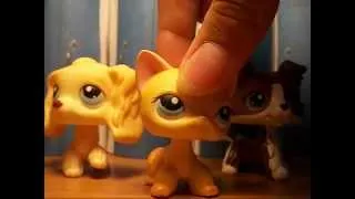 LPS - Brooke Hayes: Popular (For SophieGTV)