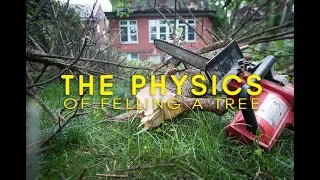 The Physics of Cutting a tree down