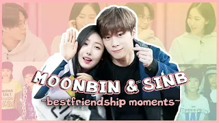 Moonbin & SinB's bestfriendship and punching moments (2005-2022)